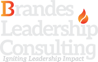 Brandes Leadership Consulting